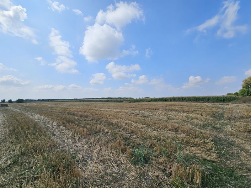Image ad